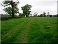 Grass Land Near Pope