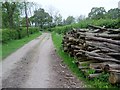 Woodstack On Track Leading up to Pope