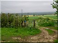 Farmland from Public Right of Way Through Hatfield House Estate