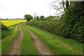 Path to the Castlethorpe road