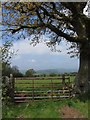 Field and gate near Cwm Gwdi