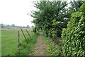 Footpath heading south from Lucks Lane