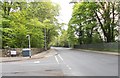 Tongue Lane - viewed from Woodlea Park