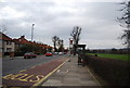 Bus Stop, Argyle Rd