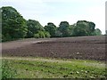 Woodland above the valley of the Peover Eye