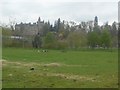 Blairdrummond House from inside the animal reserves