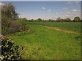 Field near Rapps