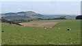 Pasture, Cairneymount