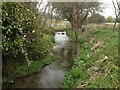 River Piddle just north of Piddlehinton