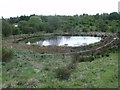 Cumbernauld, Ravenswood Local Nature Reserve [6]