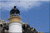 NT6087 : The Bass Rock Lighthouse with gannets overhead by Walter Baxter