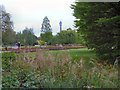 TQ2882 : Regent's Park, Queen Mary's Gardens by David Dixon