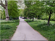 TQ2882 : Regent's Park by David Dixon