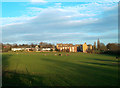 Long Shadows on the Horse Field