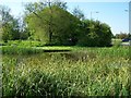 Seymour Pond, Burbage