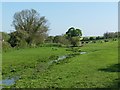 Stream near Brunton