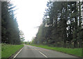 NN5500 : Entering Queen Elizabeth Forest park by John Firth