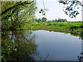 Pond near Lime Kiln Farm