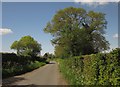 Lane to Badbury