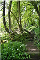 Path to the Heights of Jacob, Matlock Bath