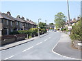 Dene Road - Roy Road