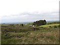 The incised valley of the Clady Water