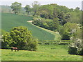 Fields by Crondall Lane