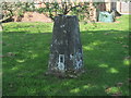 Ordnance Survey Trig Pillar S4850