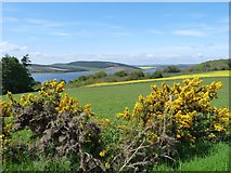 NH6853 : Munlochy Bay across the fields from the foot of Wood Hill by Alan Reid