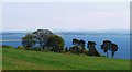 The Moray Firth from above Avoch