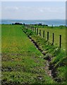 Field boundary at Fortrose