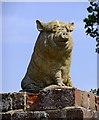 Piggy sculpture (1) at Follies Farm, Tugley