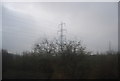 Pylon by Church Lane