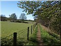 Path by the River Nidd