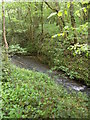 Painswick Stream