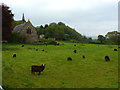 Church and a field, Avonwick, near South Brent