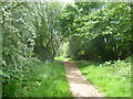 The path through Myrna Close Valley