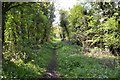 Leicester to Swannington Railway