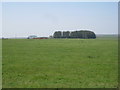 View towards Blagdonburn