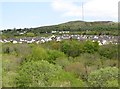 View across the wooded Colin Glen towards Hannahstown