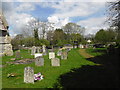Holy Trinity, East Grimstead: churchyard (1)