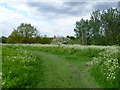 On Mill Hill, Mitcham Common