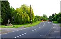 Jacobs Well Road, Jacobs Well