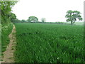 Footpath And Field