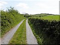 H5921 : Lane, Corduff by Kenneth  Allen