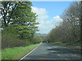 A684 through the woods east of West Witton