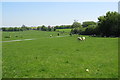 Path across the fields towards Manor Farm