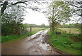 Farm track off the A29