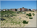 Houses in Orford Road, Felixstowe