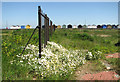 Beach huts on the Esplanade, Felixstowe